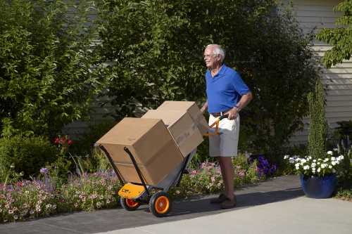 Садовая тележка WORX WG050 Aerocart 