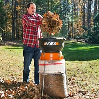 Осень на даче: какие плановые работы необходимо провести в саду перед наступлением зимы 