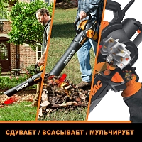 Осень на даче: какие плановые работы необходимо провести в саду перед наступлением зимы 