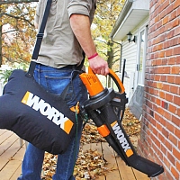 Осень на даче: какие плановые работы необходимо провести в саду перед наступлением зимы 