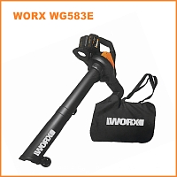 Осень на даче: какие плановые работы необходимо провести в саду перед наступлением зимы 