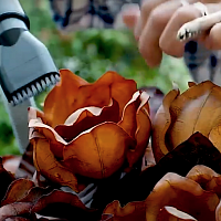 Как правильно организовать рабочее место для продуктивной работы Как правильно организовать рабочее место для продуктивной работы