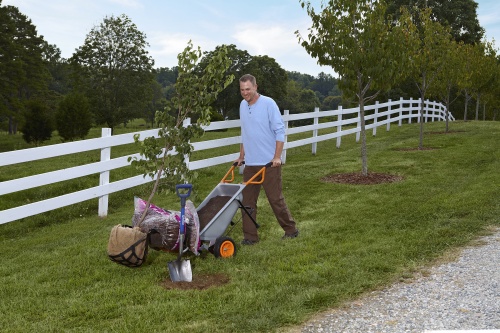 Садовая тележка WORX WG050 Aerocart 