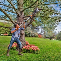 От «сабельки» до «цепного монстра»: какая пила WORX подойдёт для вашего сада От «сабельки» до «цепного монстра»: какая пила WORX подойдёт для вашего сада