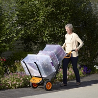 Осень на даче: какие плановые работы необходимо провести в саду перед наступлением зимы 