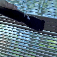 Как правильно организовать рабочее место для продуктивной работы Как правильно организовать рабочее место для продуктивной работы