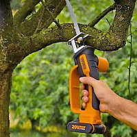 Осень на даче: какие плановые работы необходимо провести в саду перед наступлением зимы 