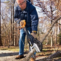 Осень на даче: какие плановые работы необходимо провести в саду перед наступлением зимы 